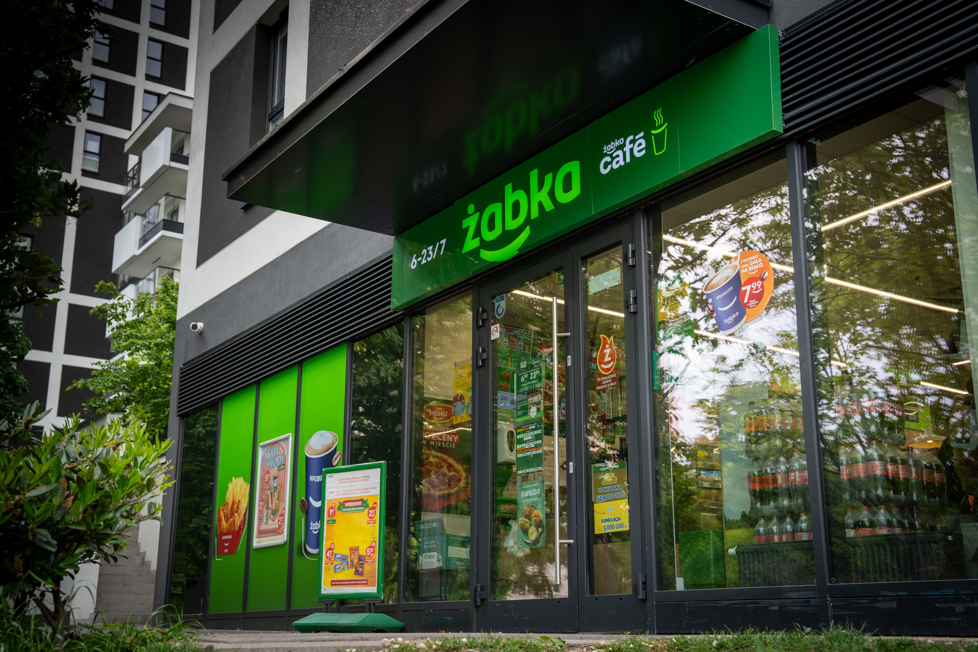 Jaki przychód mają franczyzobiorcy Żabki? Sieć podaje liczby