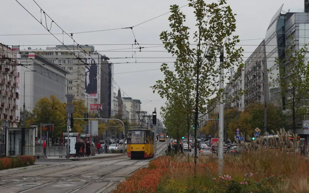 Profesor Lech Królikowski: Czy drzewa na Marszałkowskiej zablokują tramwaje?